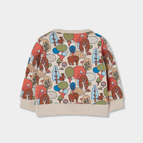 Conjunto Forest