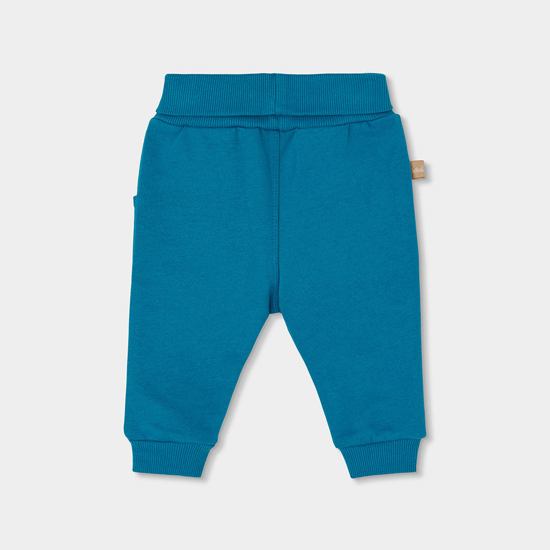 Conjunto Forest