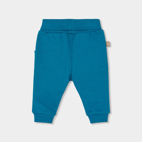 Conjunto Forest