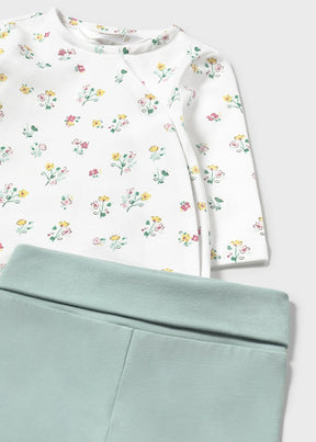 Conjunto Polaina Jade - Minibhu