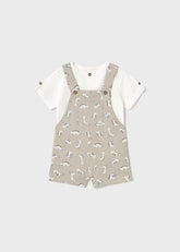 Conjunto Peto Dinocations