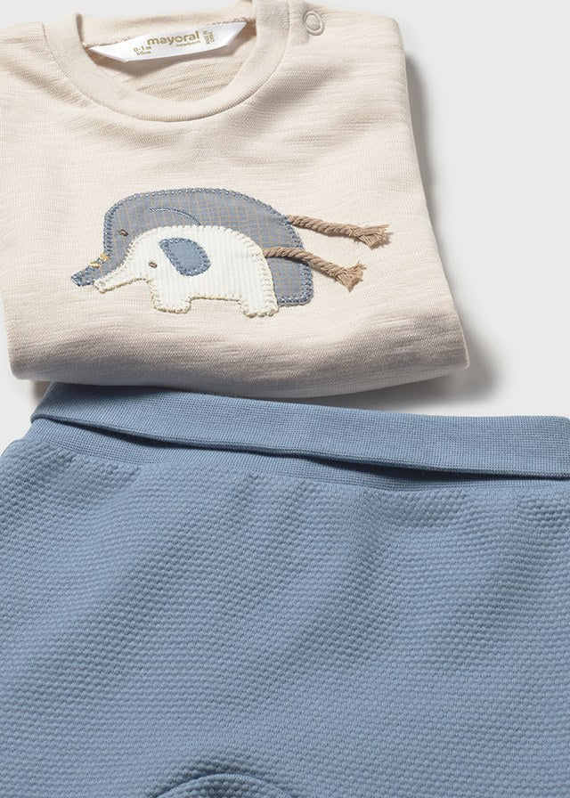 Conjunto Polaina Elephant