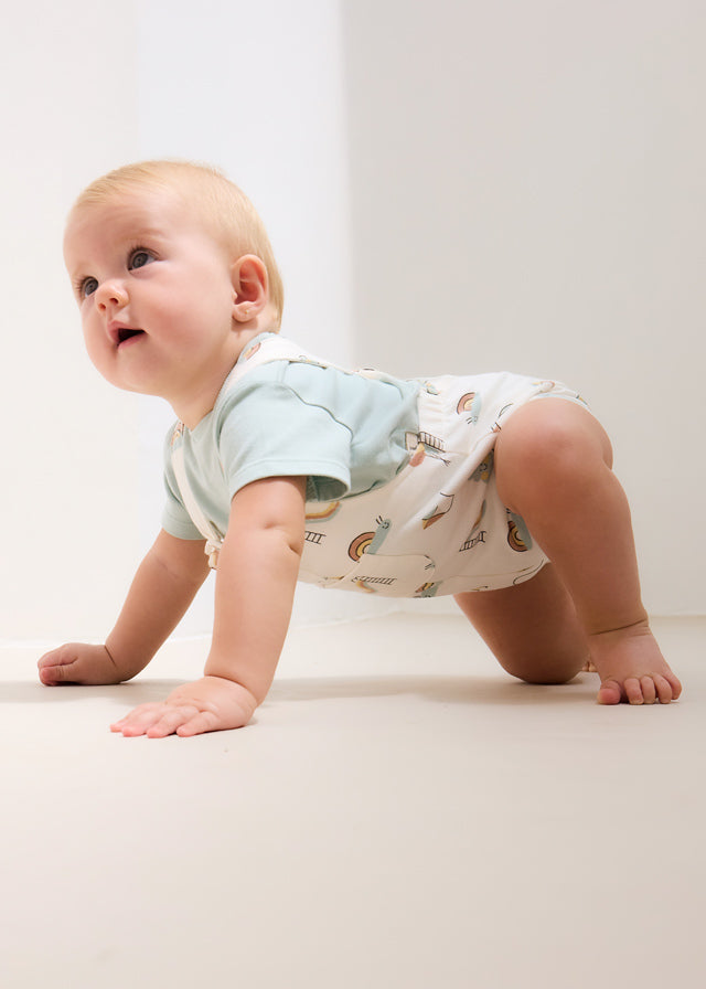 Peto Corto Tutti Frutti