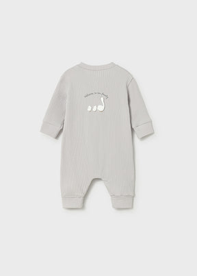 Pelele Largo Sin Pie Silver - Minibhu