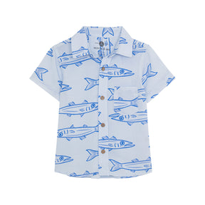 Guayabera Barracuda Agua