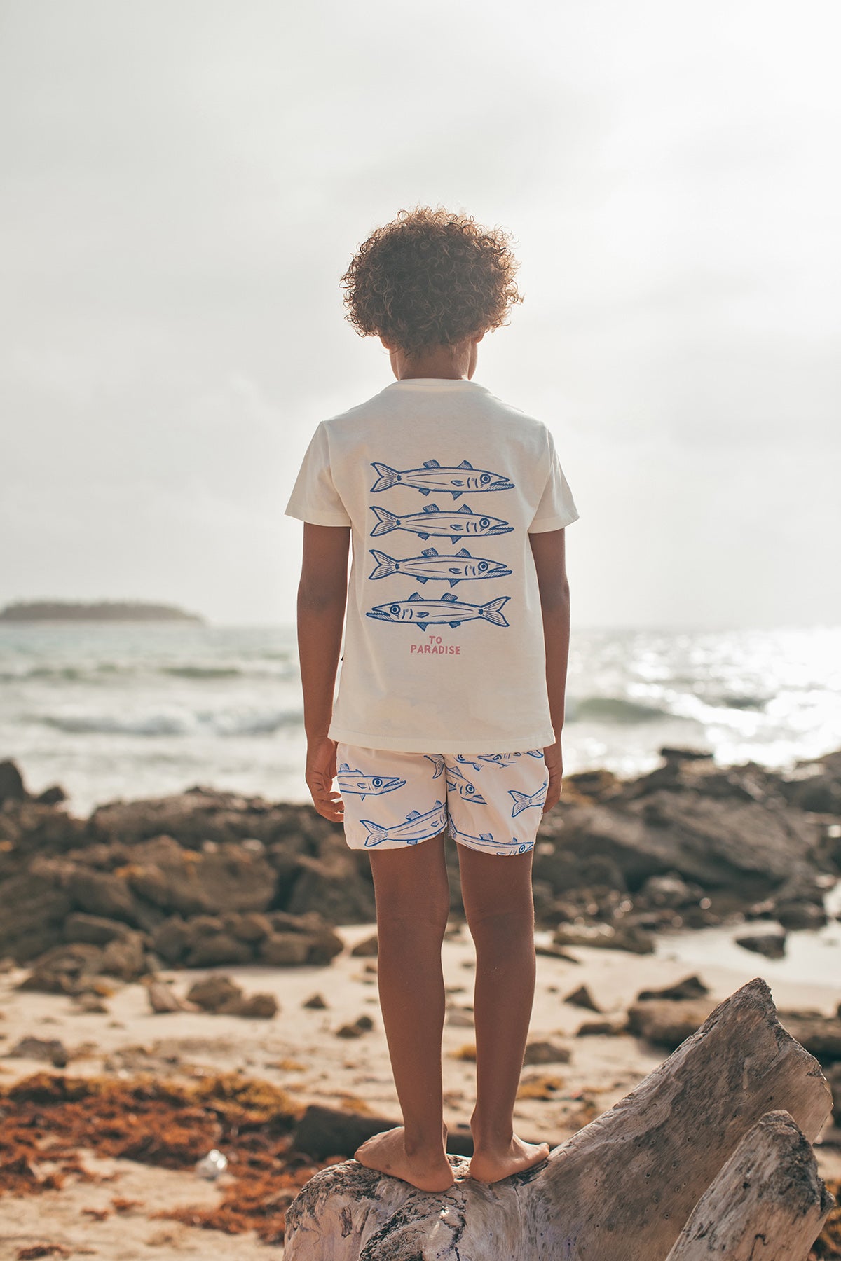 Camiseta Barracuda