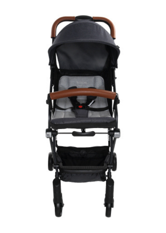 Coche Bium Miku Plus - Minibhu