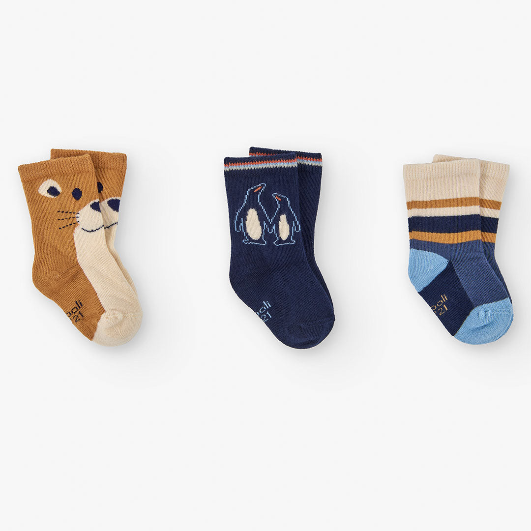 Pack Calcetines Bear Adventure