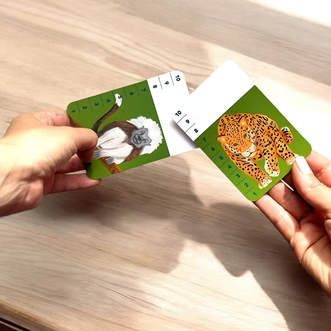 Flashcards Batalla Antemi
