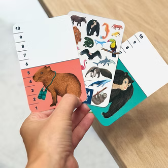 Flashcards Batalla Antemi