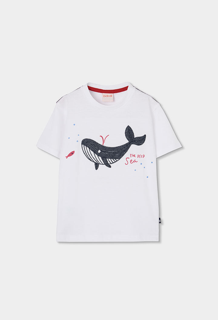Camisa Punto Baby Capri