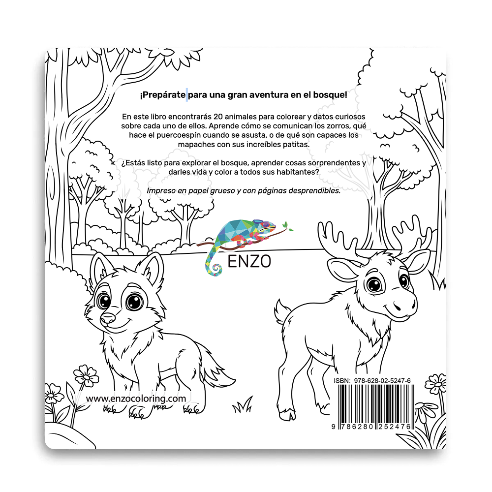 Libro Para Colorear Animales Del Bosque