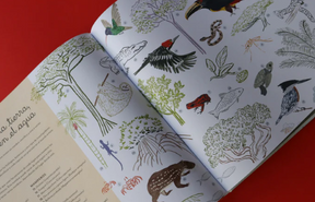 Libro: Chocó: selva, lluvia, río y mar