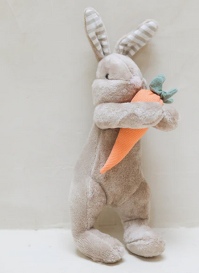 Pascual El Conejo - Minibhu