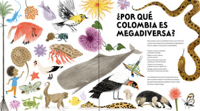 Libro: Colombia De Arriba A Abajo