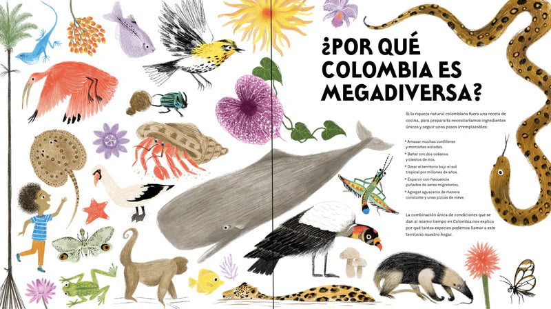 Libro: Colombia De Arriba A Abajo
