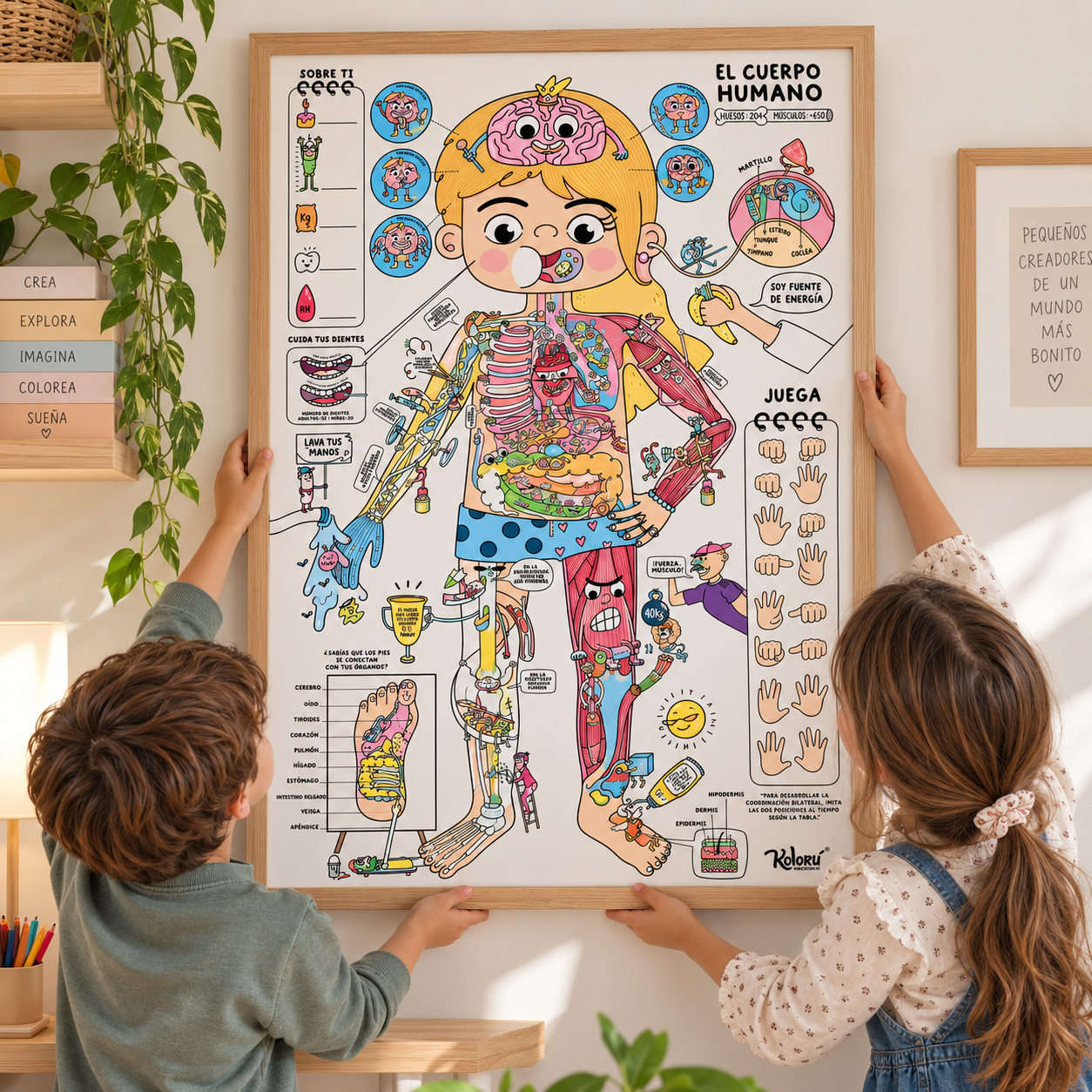 PEGAPOST Para Colorear: "¡El Cuerpo Humano!"