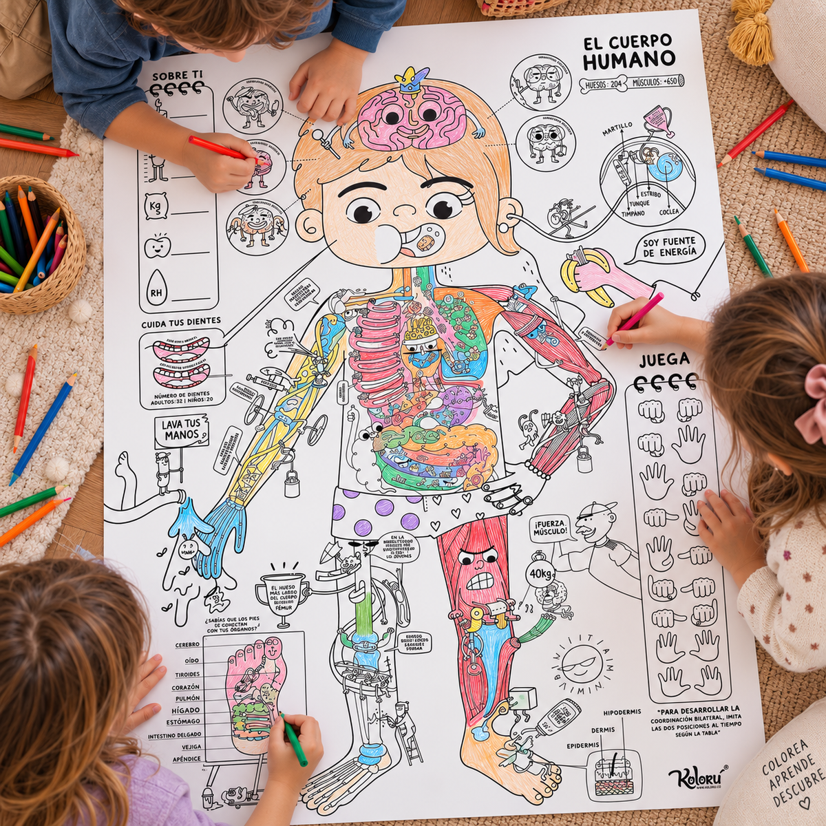 PEGAPOST Para Colorear: "¡El Cuerpo Humano!"