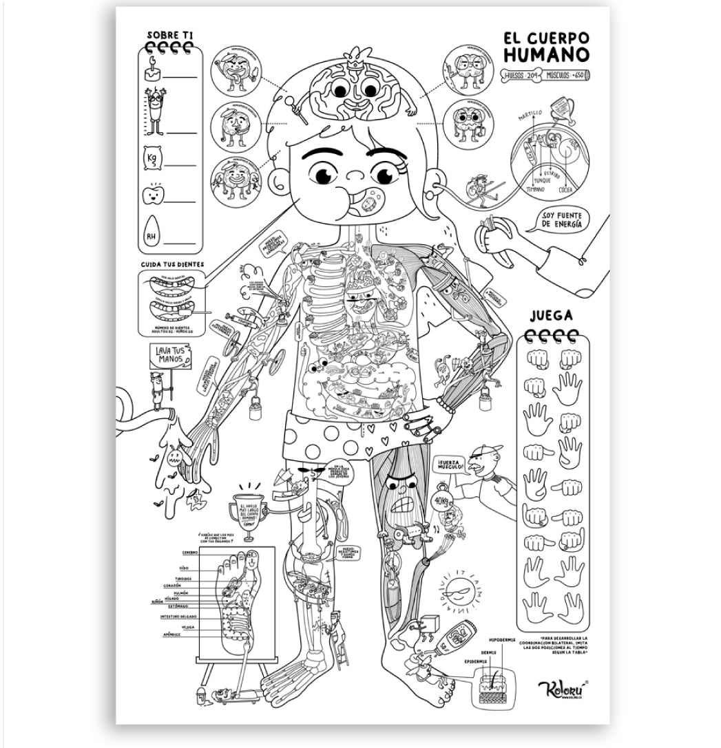 PEGAPOST Para Colorear: "¡El Cuerpo Humano!"