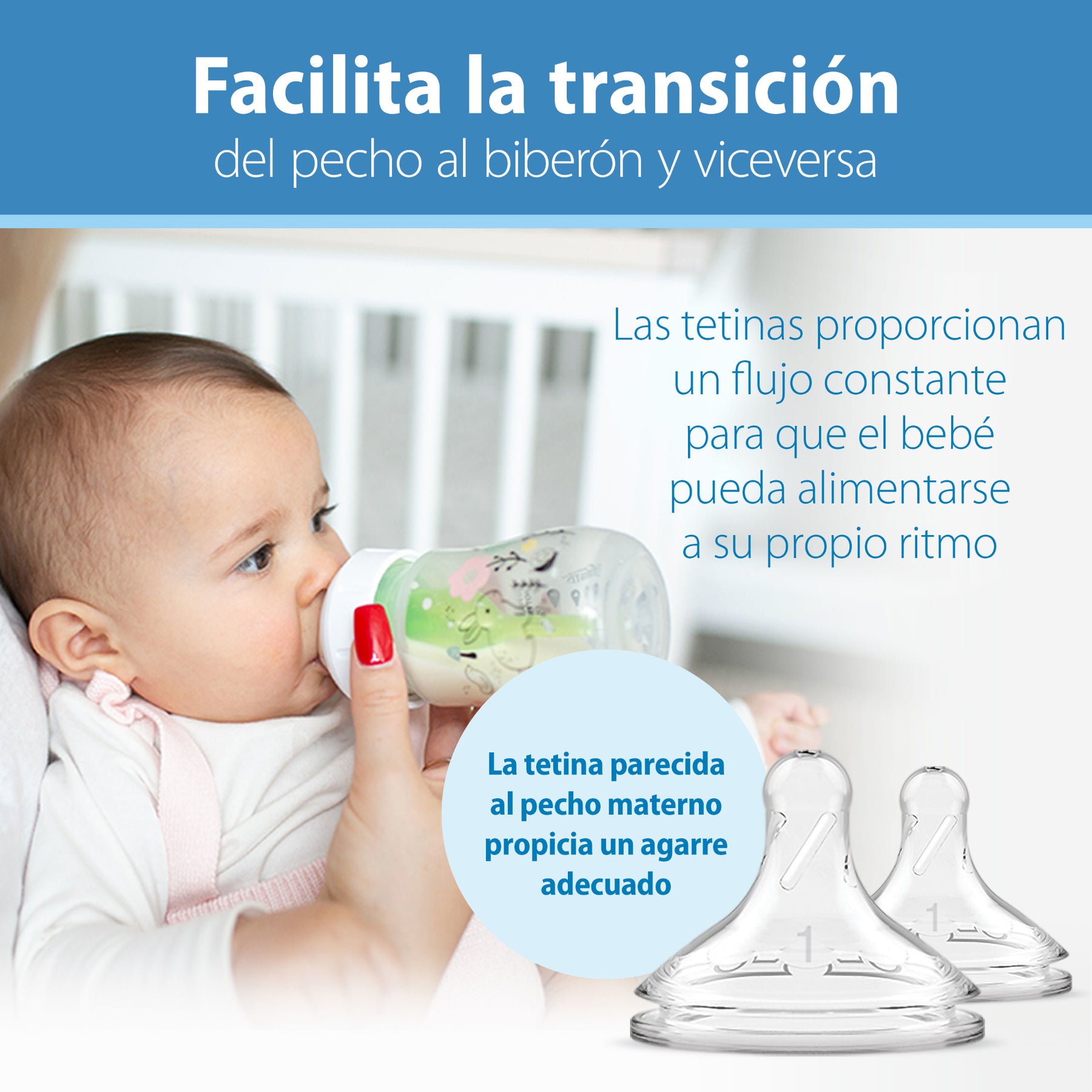 Set de Teteros Básico 150ml Bosque X2 und