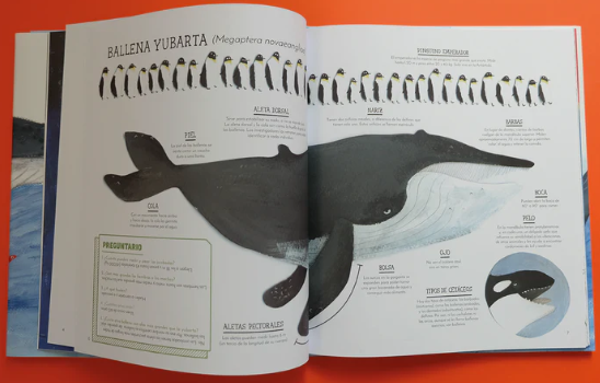 Libro: El Vuelo De Las Jorobadas