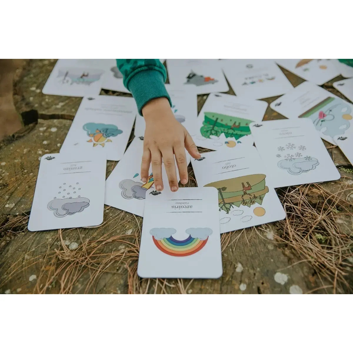 Flash Cards El Clima