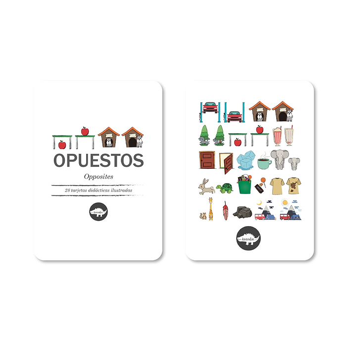 Flash Cards Opuestos