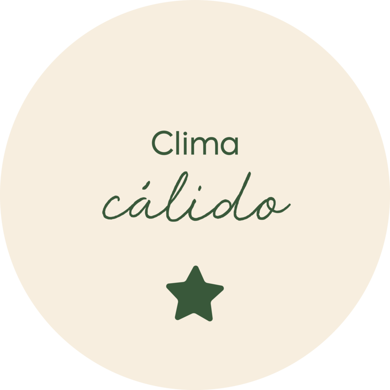 Ropa clima cálido para niños - Minibhú
