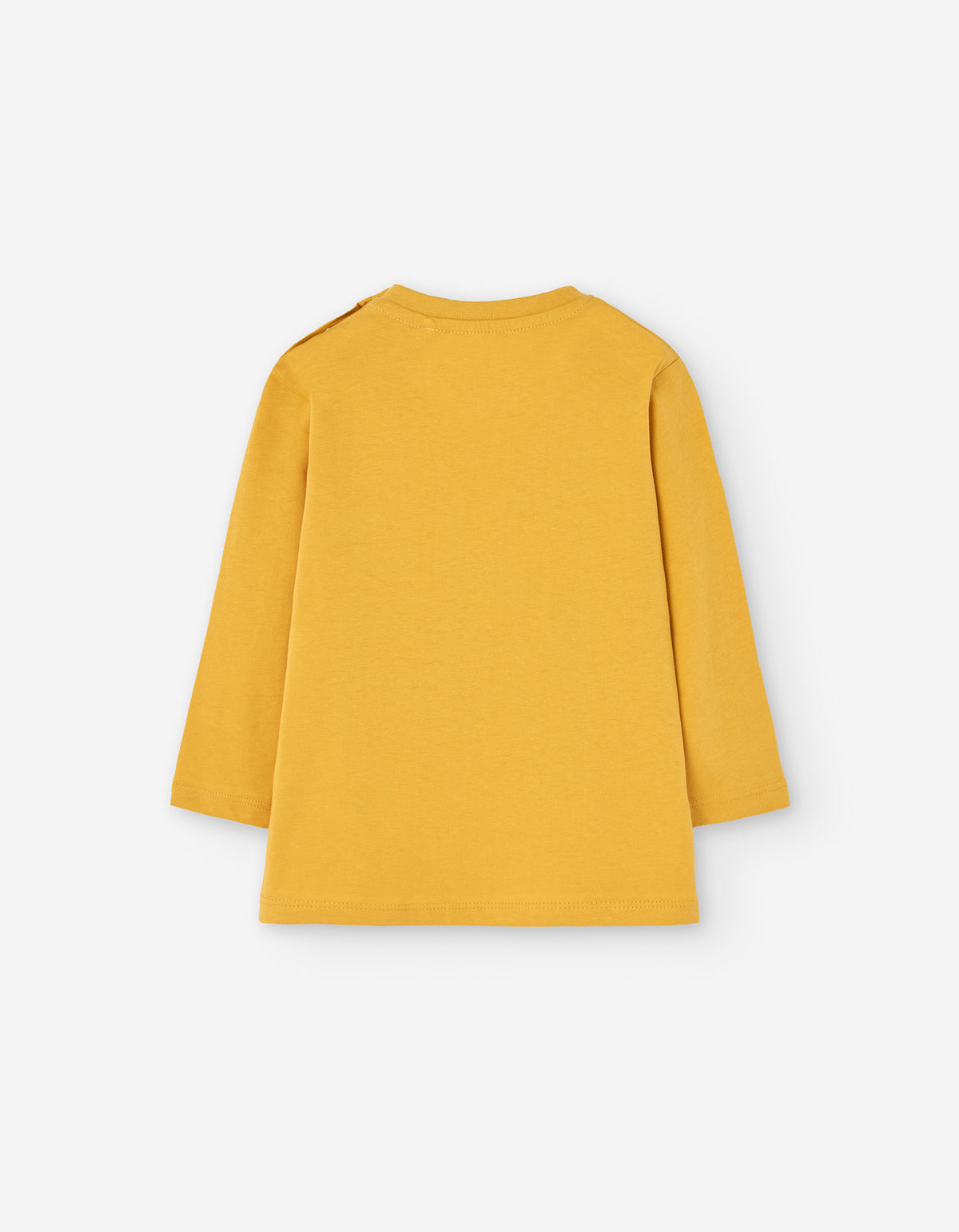 Camiseta Acuario