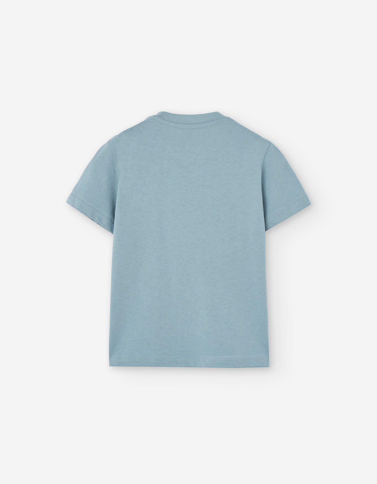 Camiseta Jersey Acuario