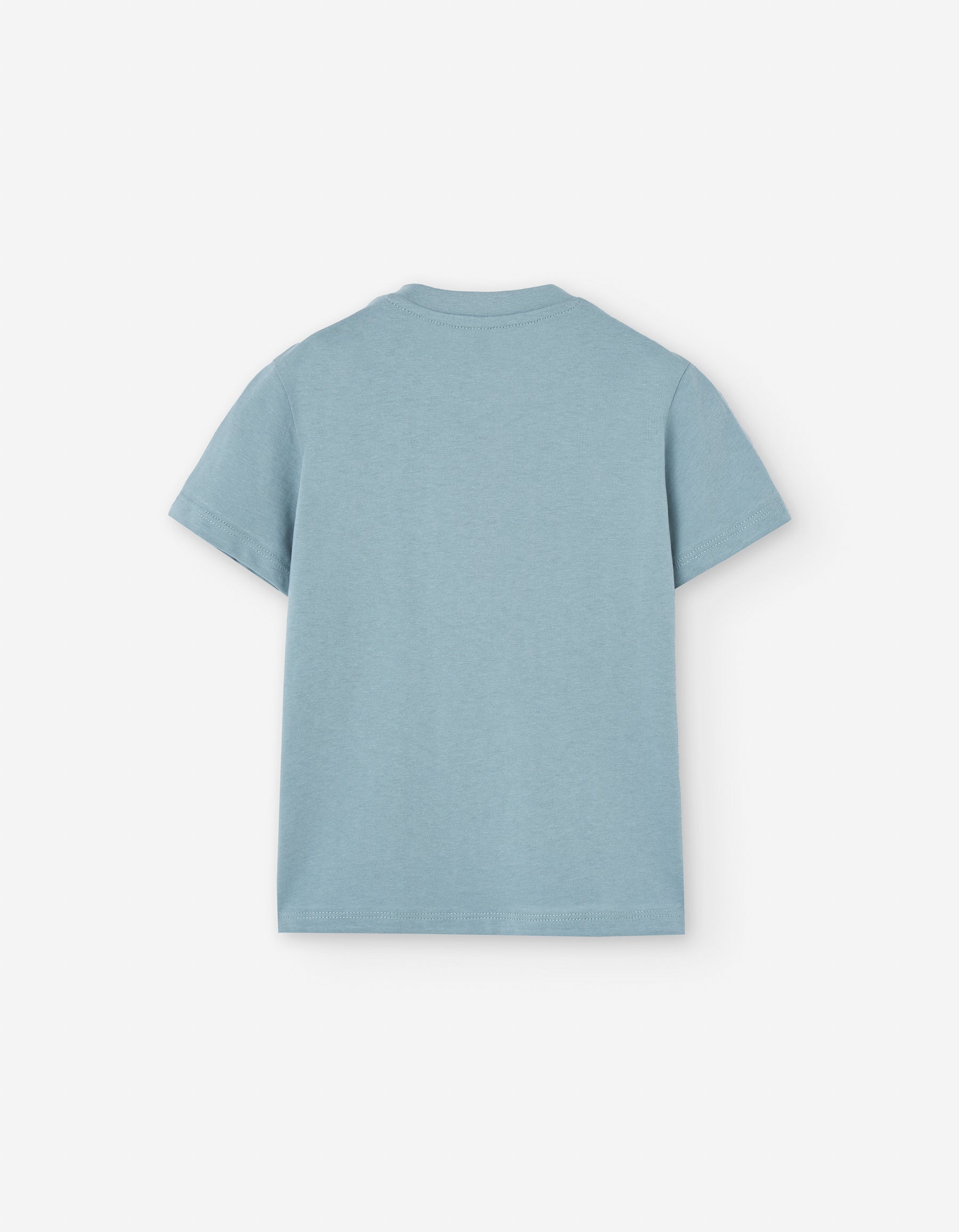 Camiseta Jersey Acuario - Minibhu