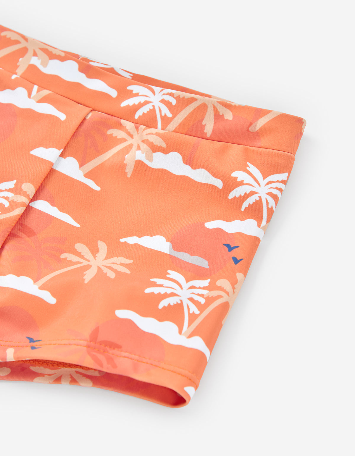 Bañador Lycra Sharkie
