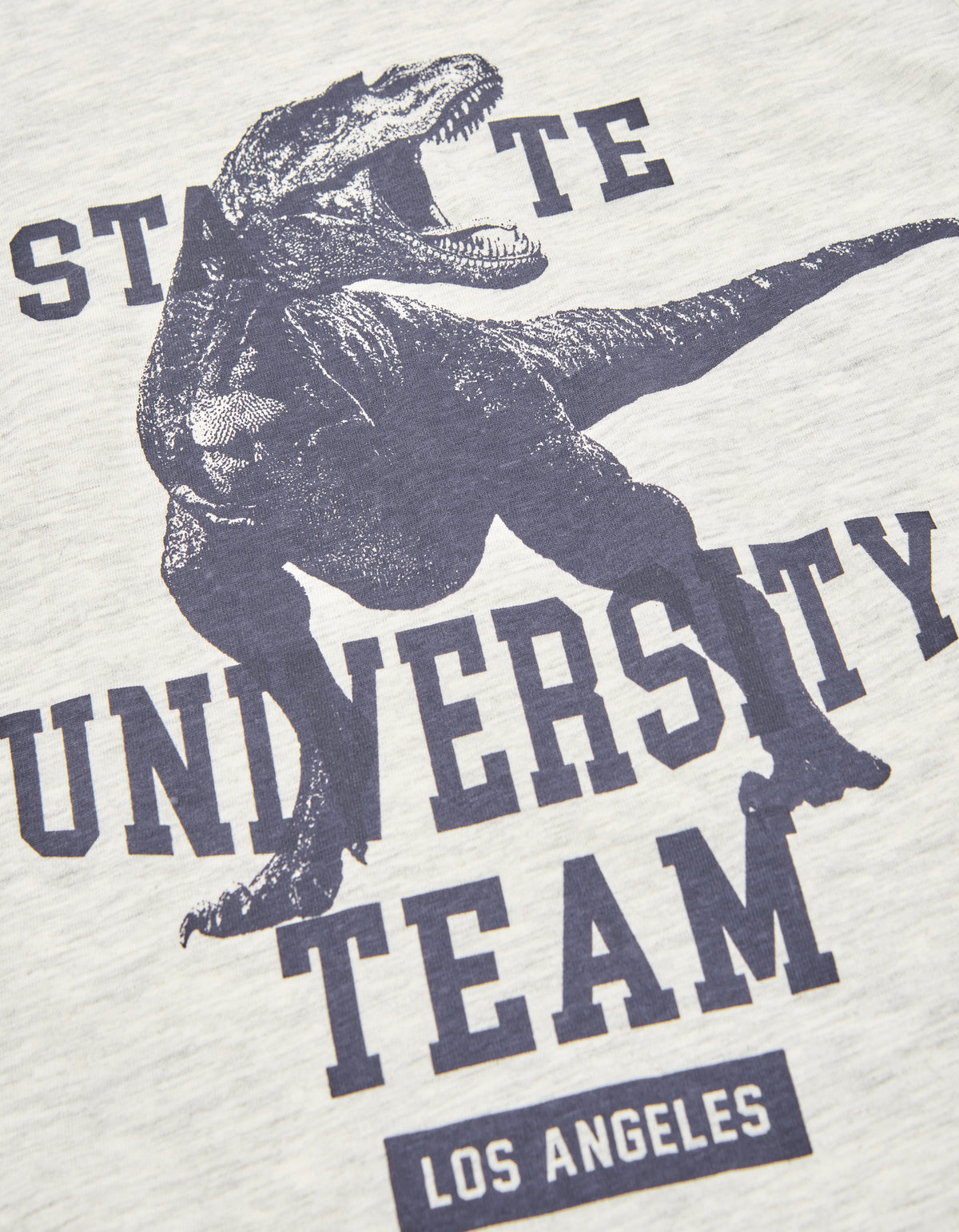 Camiseta Saurus