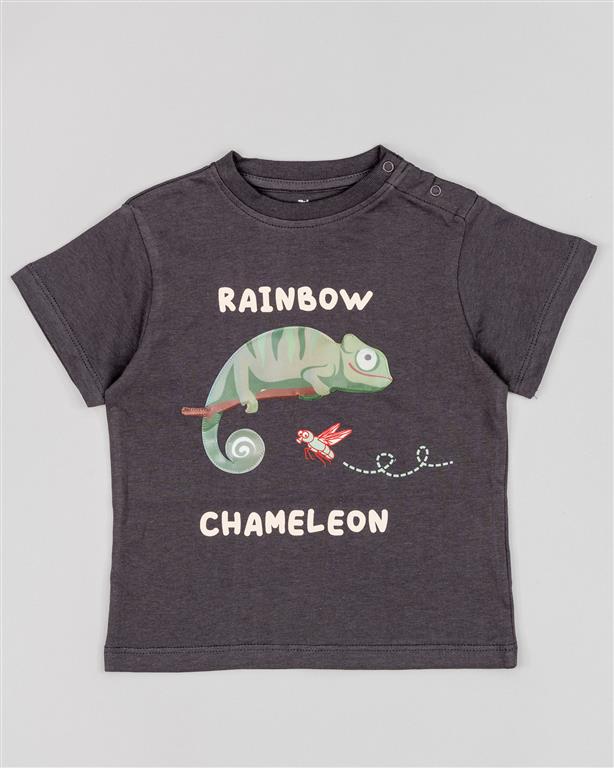 Camiseta Rainbow Chameleon
