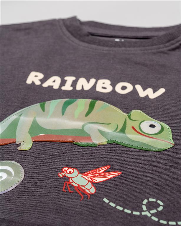 Camiseta Rainbow Chameleon