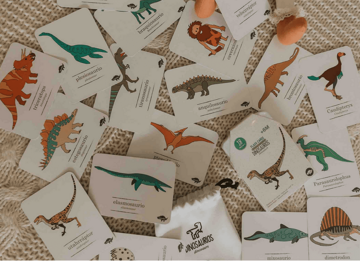 Flash Cards Dinosaurios +2A