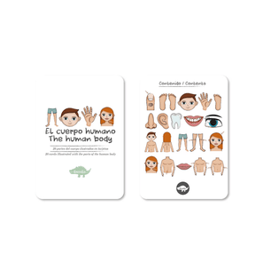 Flash Cards Cuerpo Humano +12m Kocodio